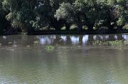 270-Delta del Danubio,7 agosto 2011